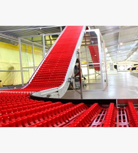 Cinta transportadora de huevos