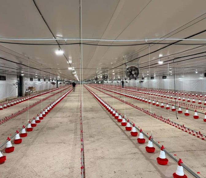 Visita técnica en San Pablo junto a Las Camelias