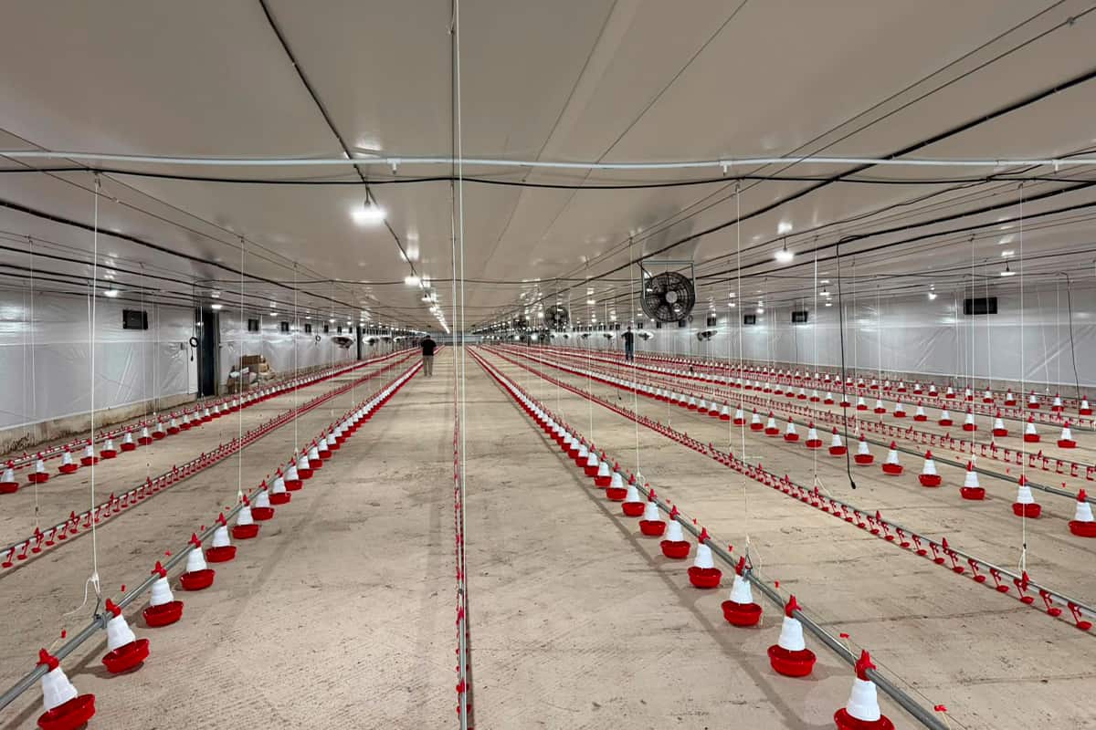 Visita técnica en San Pablo junto a Las Camelias